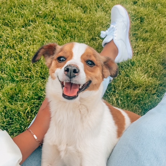 ★ meet the seller ★ - Picture 7 of 7